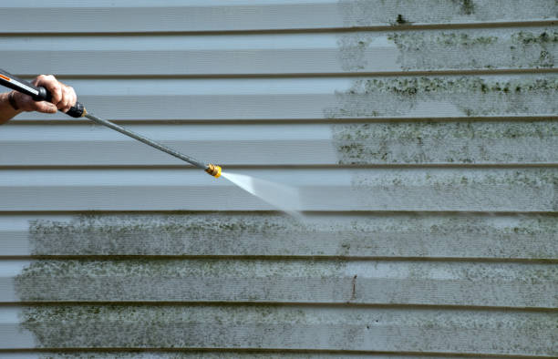 Best Local Mold Removal Service  in Ashaway, RI