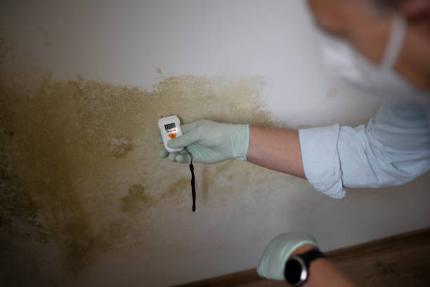 Mold Testing and Removal in Ashaway, RI